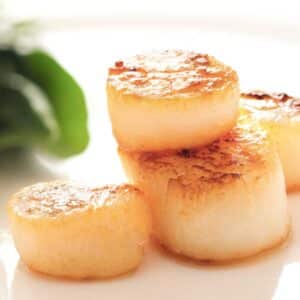 Divers Scallops 2 Divers Scallops โ U10 Dry