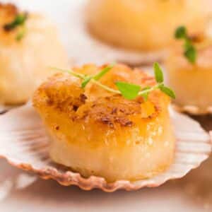 Divers Scallops 3 Divers Scallops โ U10 Dry