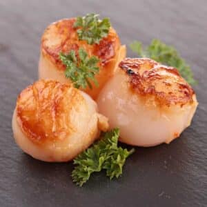 Divers Scallops Divers Scallops โ U10 Dry